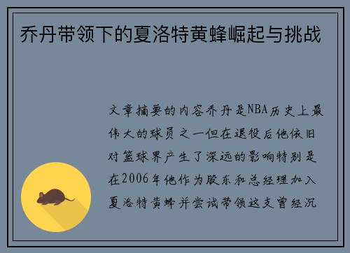 乔丹带领下的夏洛特黄蜂崛起与挑战