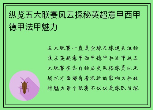 纵览五大联赛风云探秘英超意甲西甲德甲法甲魅力